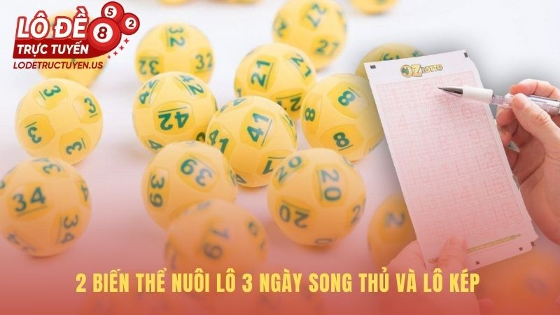 Chiến thuật nuôi lô 3 ngày với song thủ lô và lô kép