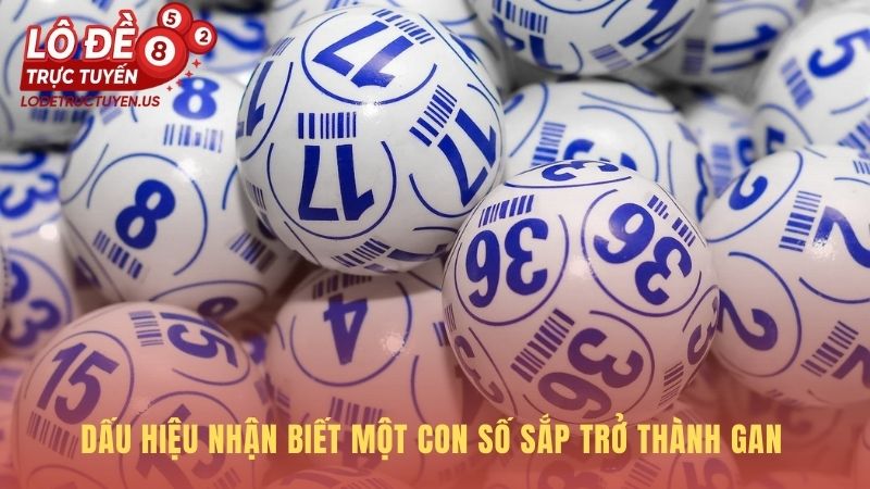 Dấu hiệu số gan phản ánh qua tần suất xuất hiện giảm đột ngột