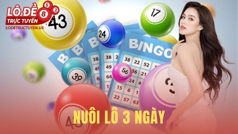Nuôi Lô 3 Ngày