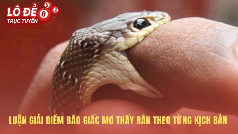 Mơ thấy rắn giải mã điềm báo dựa trên hành vi của chúng